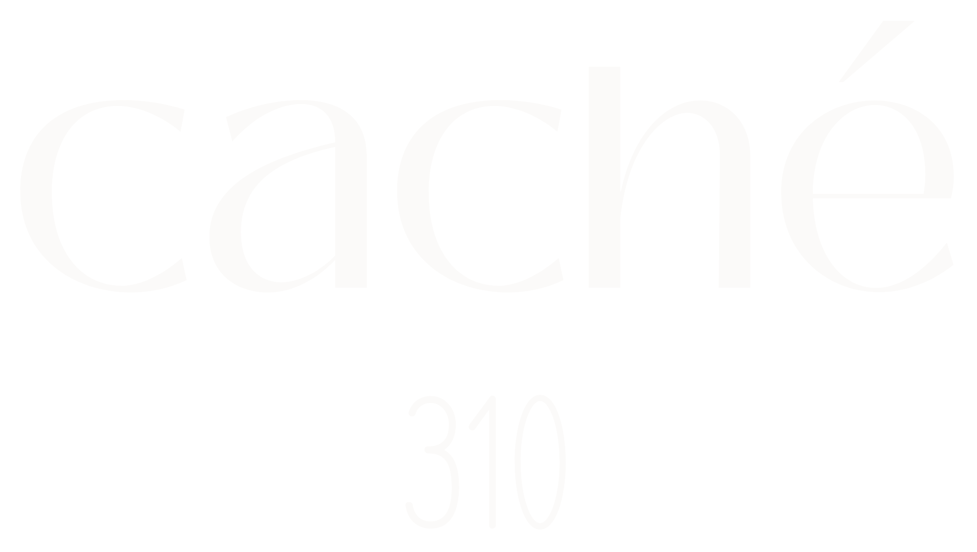 Cache 310 Logo